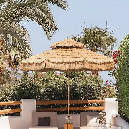 Costablancadreams The Jave In Javea